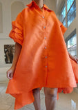Ruffle Sleeve Swing Dress