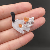 Acrylic Cat Brooch